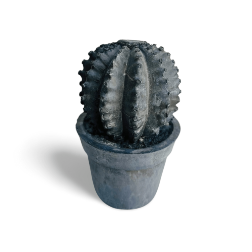 CACTOS DE RESINA ACABAMENTO CIMENTO ENVELHECIDO