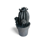 Cactos de Resina Acabamento Cimento Envelhecido