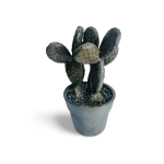 Cactos de Resina Acabamento Cimento Envelhecido