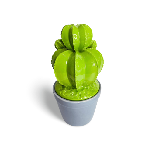 POTE DE CERÂMICA COM TAMPA - CACTOS - VERDE E CINZA ESCURO