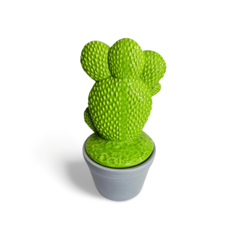 POTE DE CERÂMICA COM TAMPA - CACTOS - VERDE E CINZA ESCURO