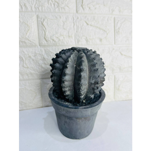 Cactos de Resina Acabamento Cimento Envelhecido