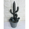 Cactos de Resina Acabamento Cimento Envelhecido